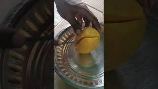 #mango lovers #mango pudikkumanu cmt pannunga #