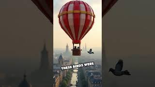 Paris' Secret Pigeon Post: 1865's Hidden Network