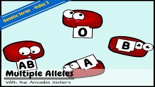 Multiple Alleles (ABO Blood Types) and Punnett Squares