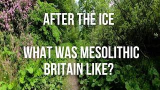 After the Ice:  What was Mesolithic Britian Like?