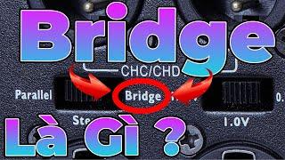 Chế độ Bridge trên Cục Đẩy là gì ? | Cách sử dụng chế độ Bridge trên Cục Đẩy | Cục đẩy công suất