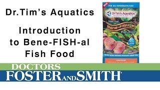 DrTim's Aquatics Bene-Fish-al Fish Food | DrsFosterSmith.com