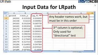 LRpath Video Tutorial