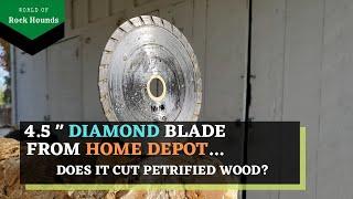 Diamond Blade from Home Depot - Does it cut petrified wood?