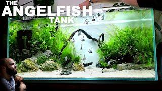 The Angelfish Aquarium: EPIC NO co2 4ft Aquascape Tutorial (Full Guide)