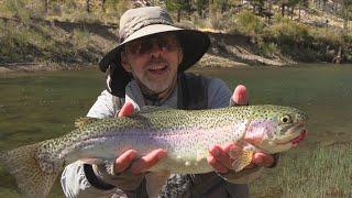 Fishing the lower West Walker River in California