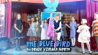 Частная школа «Взмах» англоязычный спектакль «Синяя птица», Взмах-Север, постановка 4-го класса