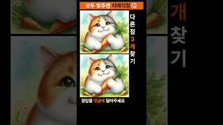 시니어 정보마당- 다른그림찾기(틀린그림찾기) -행복한 고양이