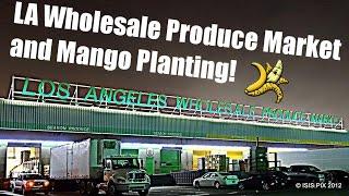 LA Wholesale Produce and Mango Planting w/ The Raw Advantage