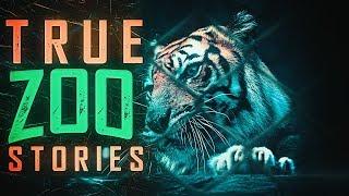 6 True Scary Zoo Horror Stories (Vol. 2)