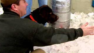 Eichardt's K-9 Keg Pull - Winter Carnival, Sandpoint, ID