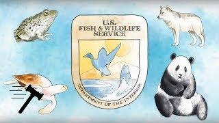 Weyerhaeuser Company v. United States Fish and Wildlife Service [SCOTUSbrief]