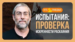 ️Путь праведных. Мир и гармония в нас. Рост через преодоление искушений. Урок 86 | Ицхак Пинтосевич