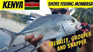 MOMBASA Catch and Cook: Shore fishing with lures in Mombasa Tudor creek, Kenya . GTs snapper grouper