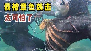 《环球探海记》阿曼 第42天(上集)：今天潜水看到龙虾泛滥，但却被凶猛的章鱼袭击 ！#抓龙虾#自由潜水#马西拉岛