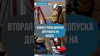 Группы допуска для работы на высоте #безопасность #работа #лестница #защита #помощь #сиз #линия