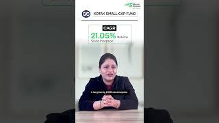 Best Small Cap Funds to Invest in 2024