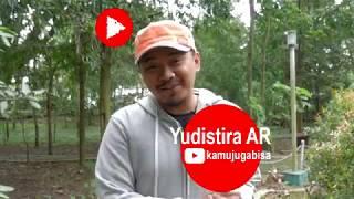 Profil Anggota YouTuber Malang #kenalanyuk | Yudistira AR 'KAMUJUGABISA'