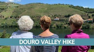 Douro Valley Hike