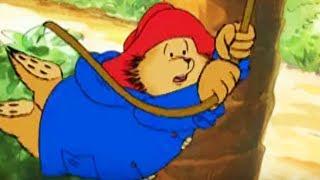 The Adventures of Paddington Bear - Paddington in the Galapagos | Classic Cartoons for Kids HD