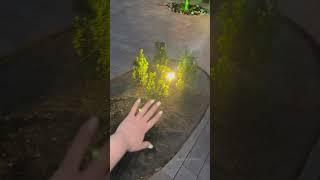 Погода в Ростове на Дону  #погода #весна #огород #сад #цветы #дом
