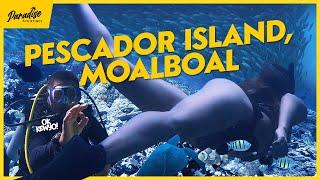 Epic exploration of Pescador Island, Moalboal | Freediving in Cebu | Paradise Philippines