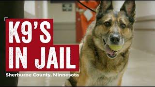 K9 Officer program at Sherburne County Jail