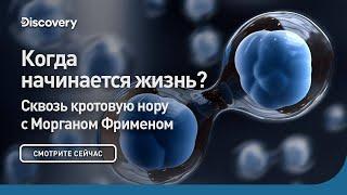 Когда начинается жизнь? | Сквозь кротовую нору с Морганом Фрименом | Discovery