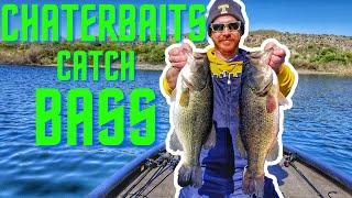 Chatterbait fishing in cold water