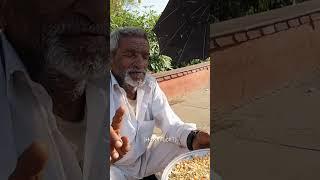 Luke Damant gets scammed while feeding birds in India  #shorts