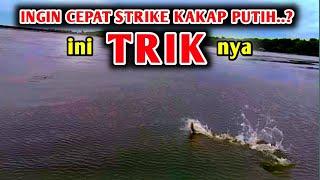 casting barramundi || JIKA INGIN CEPAT STRIKE. coba trik ini