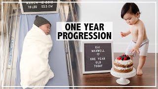 Baby's One Year Monthly Progression Time Lapse | Newborn to 1 Year