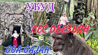 УБУД / ИНДУИСТКИЙ ХРАМ В ПЕЩЕРЕ/ GOA GAJAH / ЛЕС ОБЕЗЬЯН  / ЖЕНЮ ОБРИЛИ НАЛЫСО / ГДЕ МЫ УЖИНАЕМ