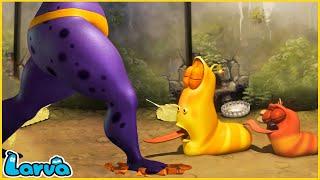 LARVA | GIANT | CARTOON MOVIE FOR LIFE |THE BEST OF CARTOON | HILARIOUS CARTOON COMPILATION