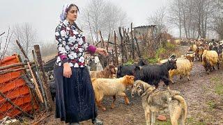 IRAN Alborz Mountains | A Nomadic Tale of Village Life and Beauty