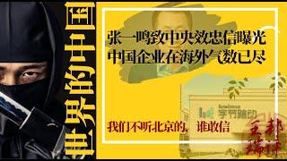 张一鸣致中央效忠信曝光，中国企业（家）在海外气数已尽;我们不听北京的，谁敢信|《#世界的中国》（20240521)