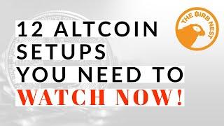 12 BEST ALTCOIN SETUPS YOU NEED TO WATCH! [CRYPTO TRADING & ANALYSIS]