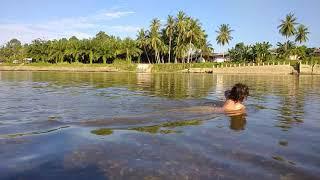 Belajar berenang di sungai