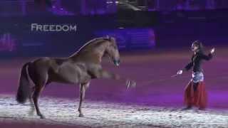 Clémence Faivre Horse Show Trailer