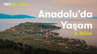 Anadolu'da Yaşam | Ada | TRT Belgesel