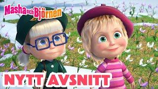 Masha och Björnen ️ Nytt avsnitt ️  Den första svalan 