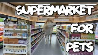 Can a Cat Open a Mini-Supermarket?