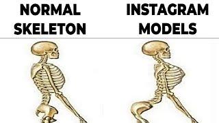 Memes That Teach Me Anatomy