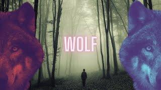 DER STEPPENWOLF Hermann Hesse / Teil 1: "Wolf oder Mensch?"