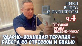 Беседы с экспертом по работе со стрессом и болью, ч.4. Ника Спринг.