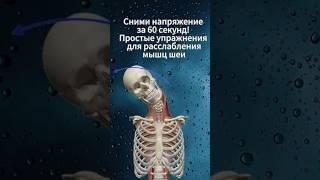 Сними напряжение за 60 секунд! Простые упражнения для расслабления мышц шеи
