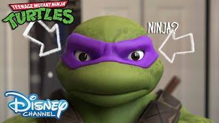 If TMNT was made by disney