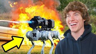 I Bought $100,000 Attack Robot Dog!