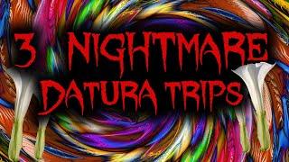 3 NIGHTMARE Datura Trip Stories