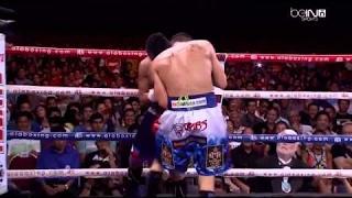 Donnie Nietes vs Francisco Rodriguez Jr Full Fight HD Michael KpBurditt